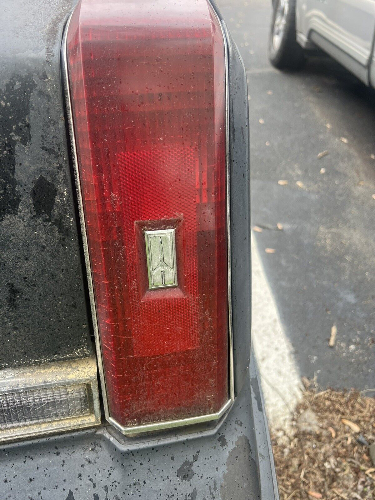 1981-1988 OLDSMOBILE CUTLASS SUPREME Salon 442 Drivers Side TAILLIGHT Lh G Body