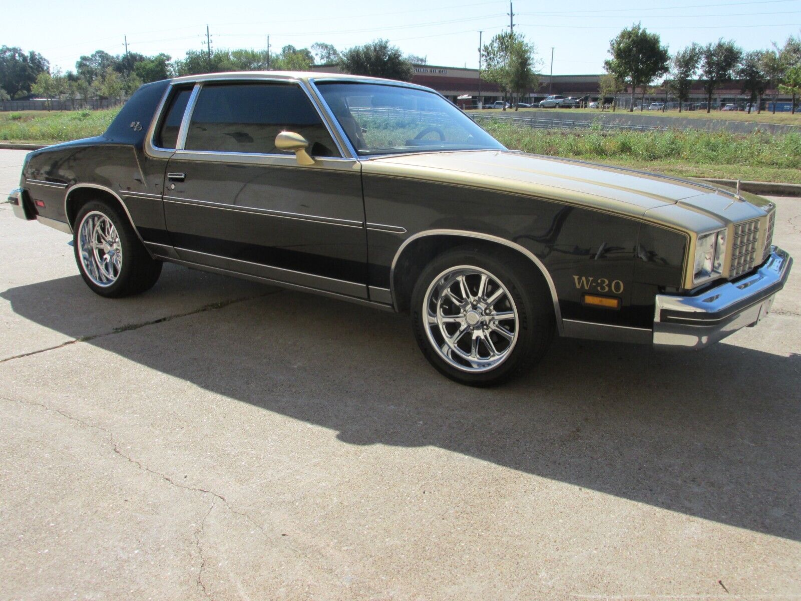 1979 Oldsmobile Cutlass Hurst/Olds W-30