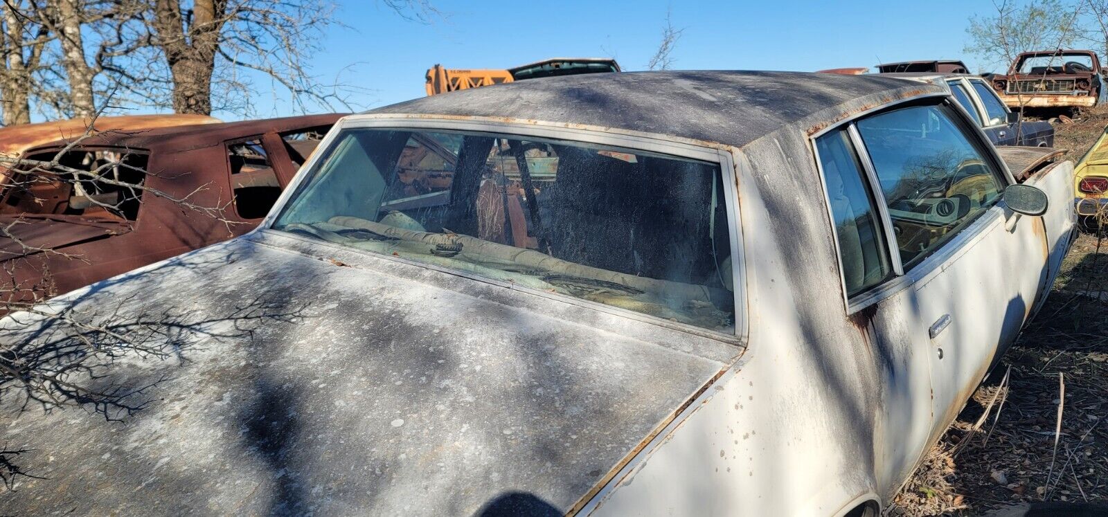 1978-80 Grand Prix & G-body Back Rear Glass Window Trim