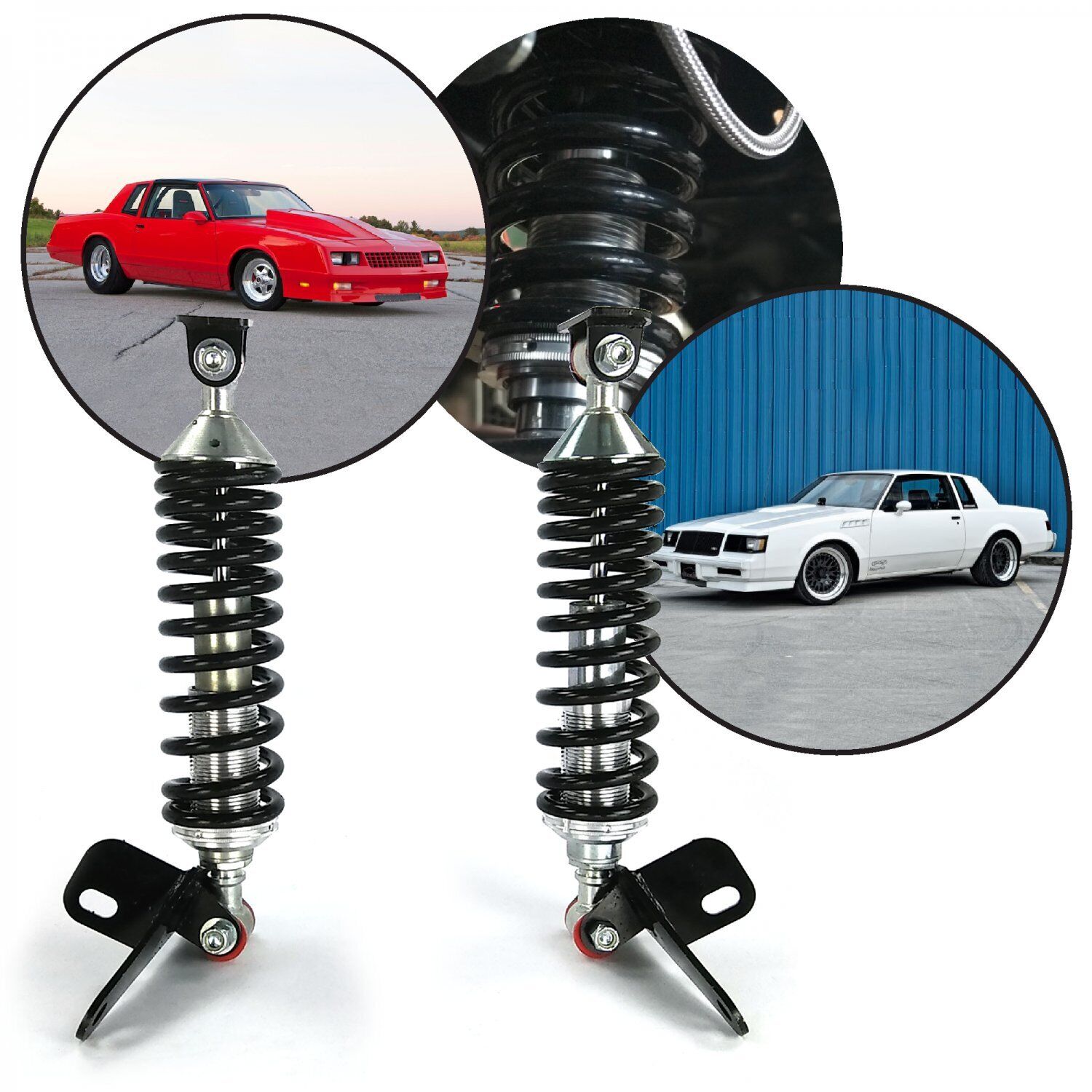 Rear Bolt-On Complete Coilover Conversion Kit- 1978-1988 GM G Body Regal Monte