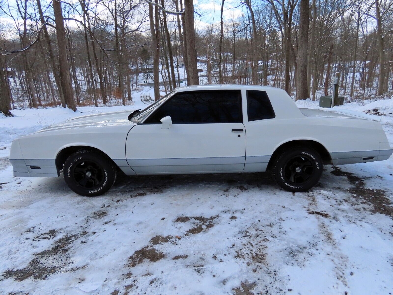 1984 Chevrolet Monte Carlo SS